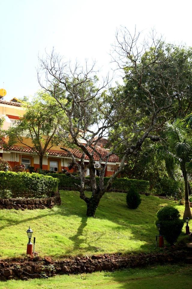 Nirvana Hermitage Anjuna Eksteriør billede