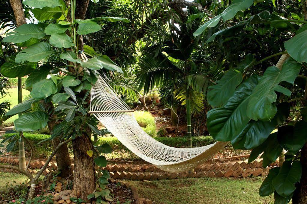 Nirvana Hermitage Anjuna Eksteriør billede